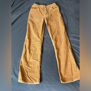 Hollister Corduroy Pants